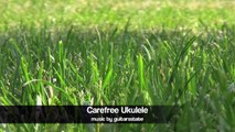 Carefree Ukulele - Happy Positive Background Music