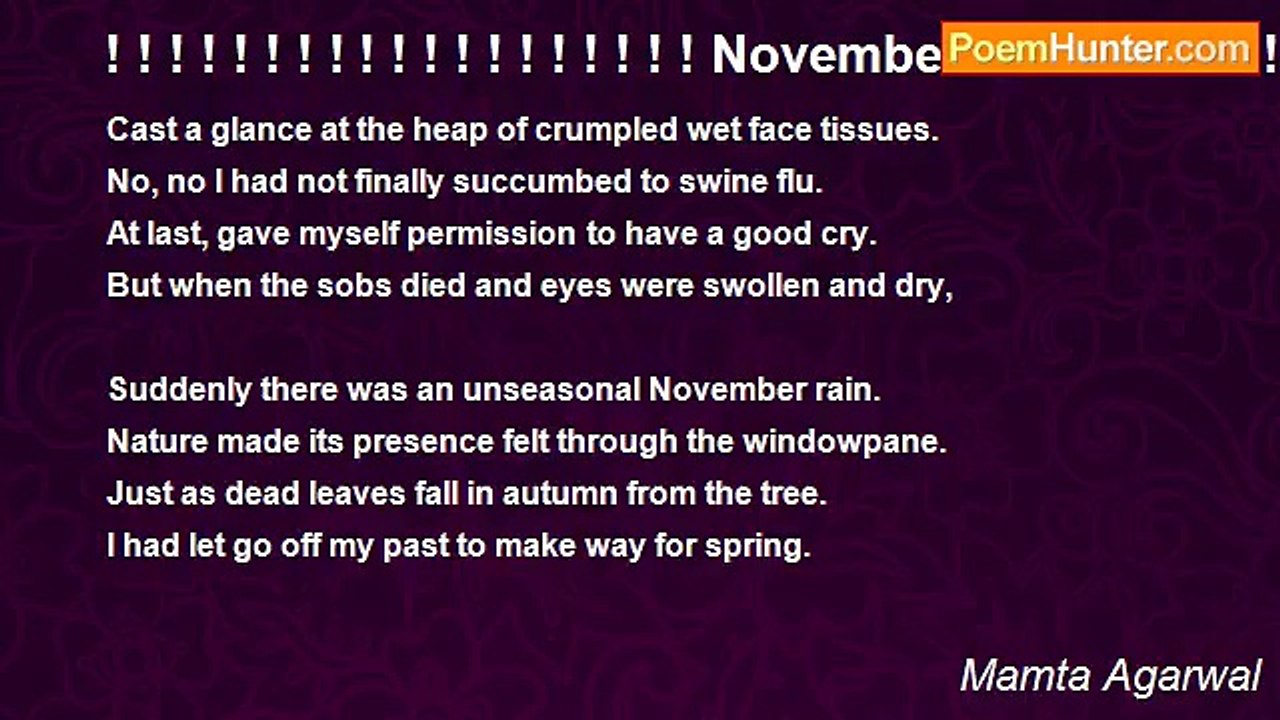 Mamta Agarwal - ! ! ! ! ! ! ! ! ! ! ! ! ! ! ! ! ! ! ! November rain! ! ! ! ! ! ! ! ! ! ! ! ! ! ! ! ! ! ! ! ! ! ! ! ! !