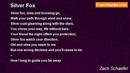 Zack Schaefer - Silver Fox