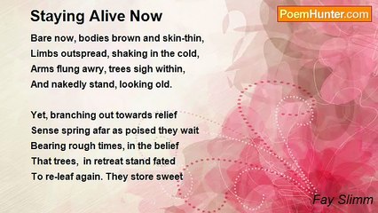 Fay Slimm - Staying Alive Now