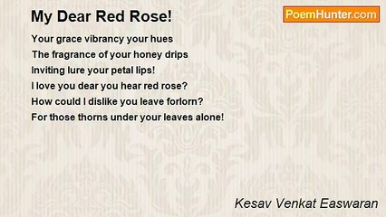 Kesav Venkat Easwaran - My Dear Red Rose!