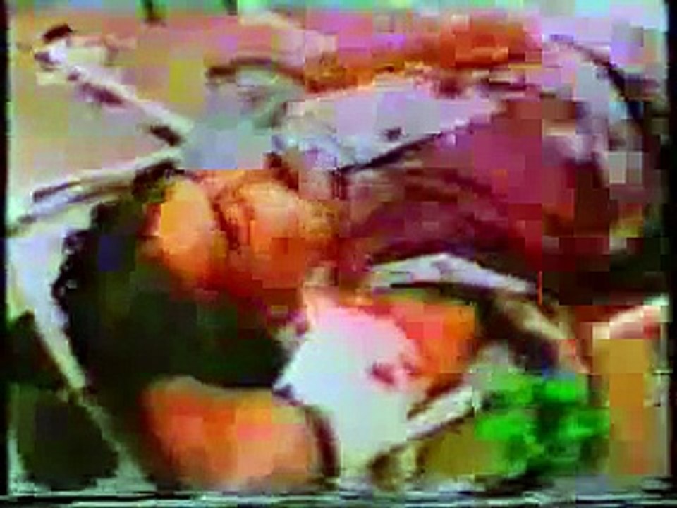 Real Video Of SHAHEED MIR MURTAZA BHUTTO BY MZBHUTTO