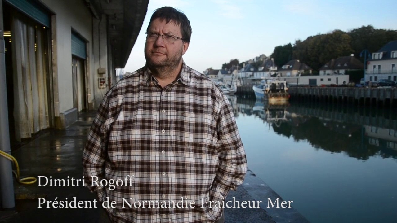 Interview Dimitri Rogoff