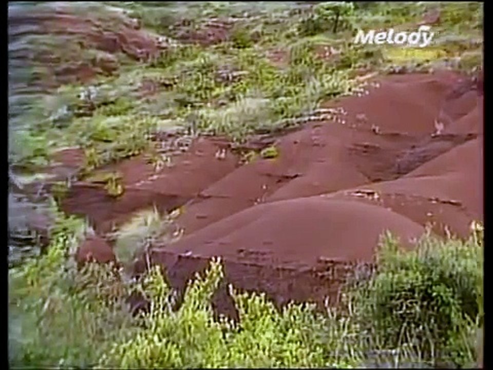 Manitas de Plata en Camargue