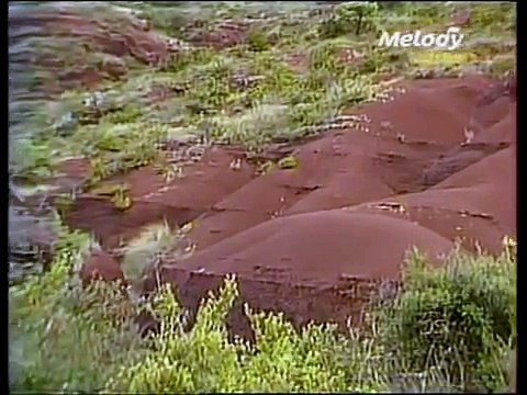 Manitas de Plata en Camargue