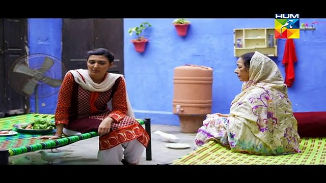 Digest Writer Episode 6 on Hum Tv in High Quality 9th November 2014