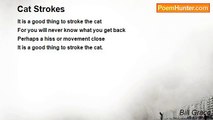Bill Grace - Cat Strokes