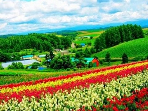 YUSUF HARPUTLU -AĞLAMA GÖZLERIM BOŞA