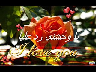 يا وحشنى رد عليا