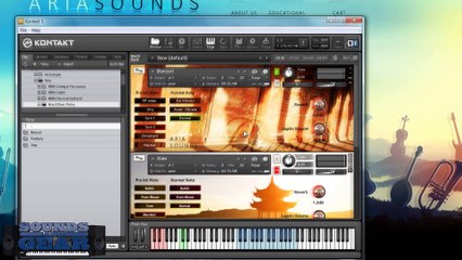 Aria Sounds Ethnic Flutes Bundle Demo - SoundsAndGear.com