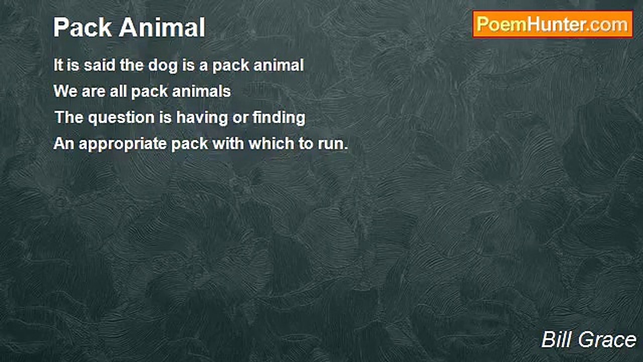 Bill Grace - Pack Animal