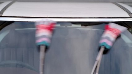 Gap : Windshield gloves