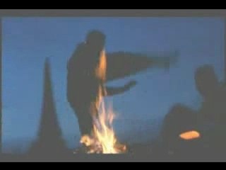 Black Eagle: Majestic Bird of Power 🦅