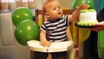 Cute Baby Loves His First Birthday Cake Too Much to Eat it All