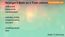 Seán O Muiríosa - Stranger's Eyes on a Train Journey