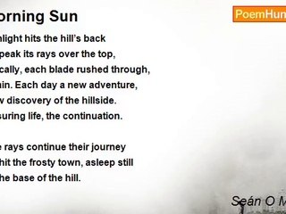 Seán O Muiríosa - Morning Sun