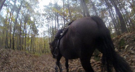 2014.11.08.zg.breux.jouy