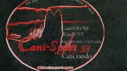 entrainement de motivation pour un chien loup tchécoslovaque