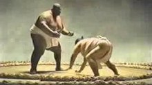 Pelo cu a sumo