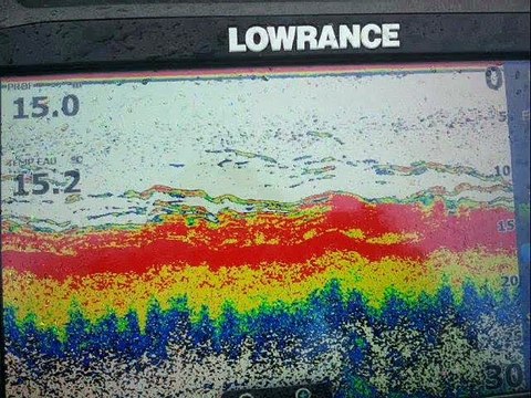 session peche au bars novembre 2014 les goëlands 50