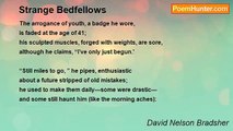 David Nelson Bradsher - Strange Bedfellows