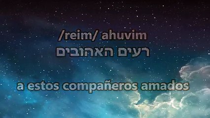 Sameaj  שמח  Alegra - Amiran Dvir
