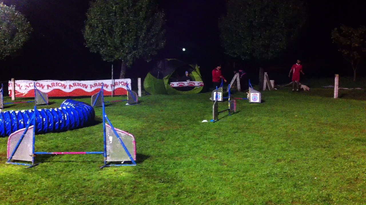 Chris & Gen - MINI Grado 0 - 1ª Manga Prueba Agility RSCE [Sábado 08-11-2014 - Rais - Teo]