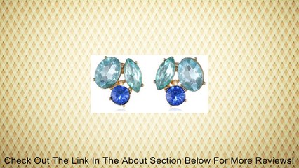 Anne Klein Gold-Tone Black Multi-Cluster Clip-On Earrings Review