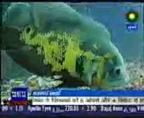 VID-20141103-WA0009.mp4
