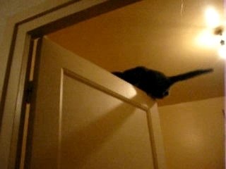 Aïe-aïe-aïe (partie 1)