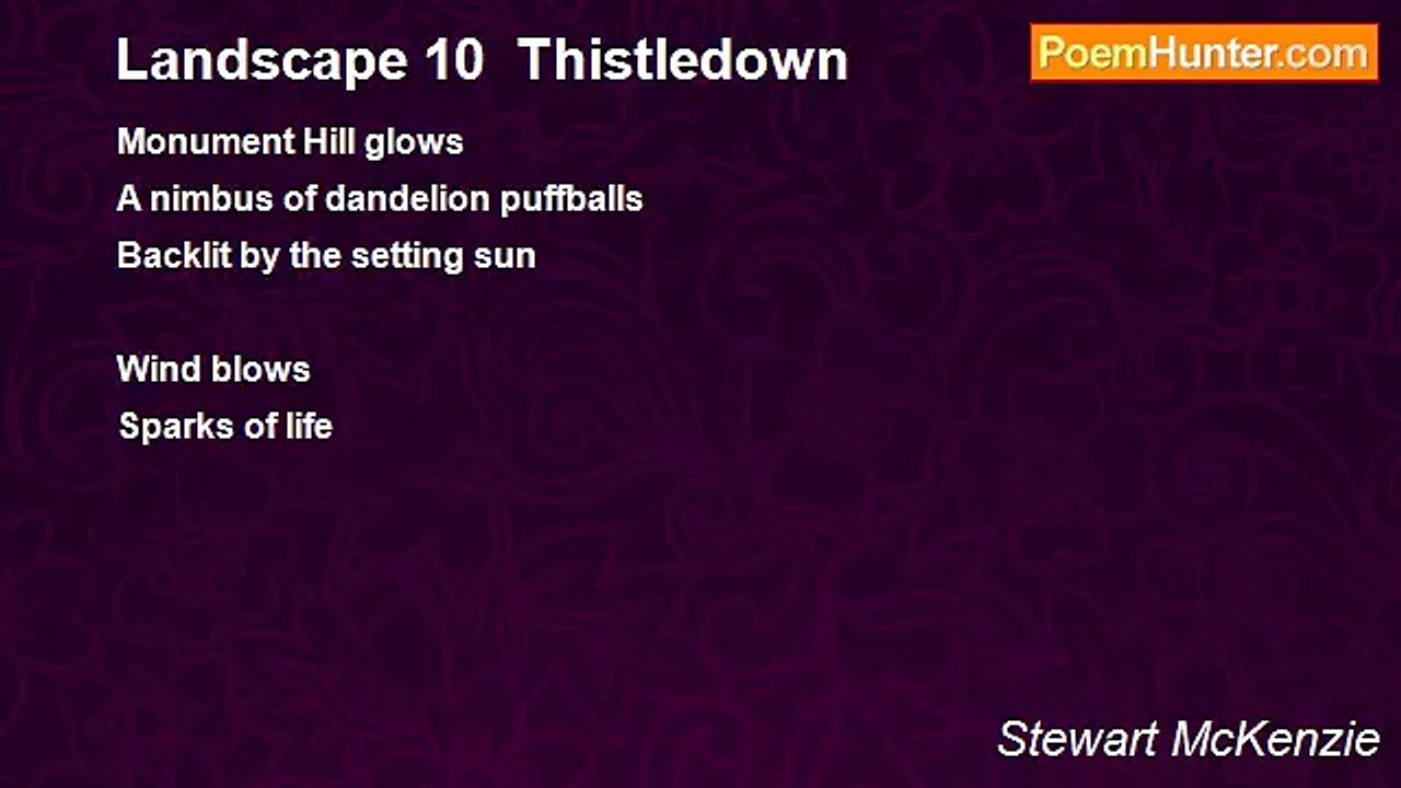 Stewart McKenzie - Landscape 10  Thistledown
