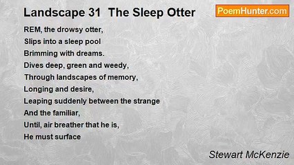 Stewart McKenzie - Landscape 31  The Sleep Otter