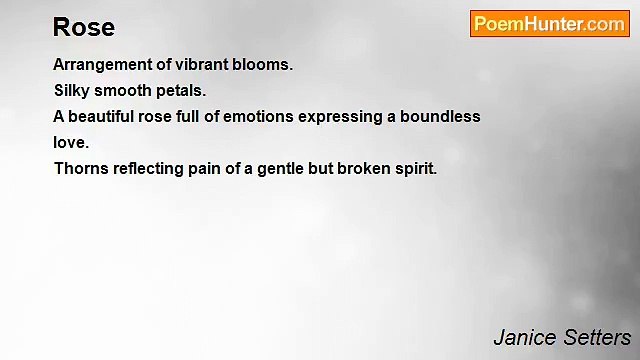 Janice Setters - Rose