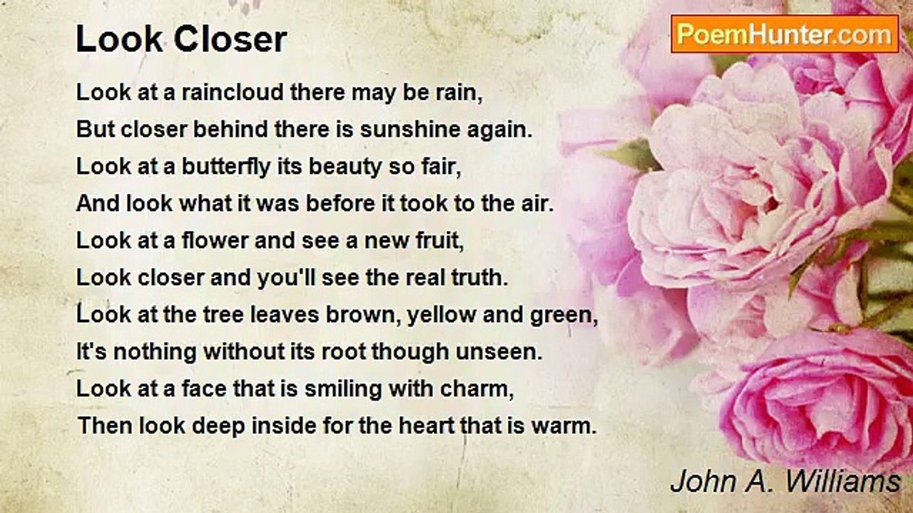 John A. Williams - Look Closer