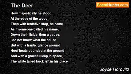Joyce Horovitz - The Deer