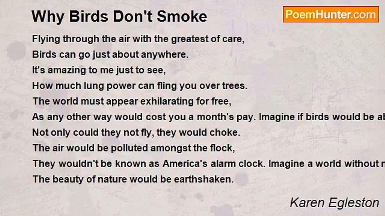 Karen Egleston - Why Birds Don't Smoke