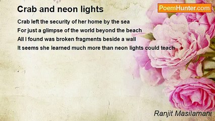 Ranjit Masilamani - Crab and neon lights