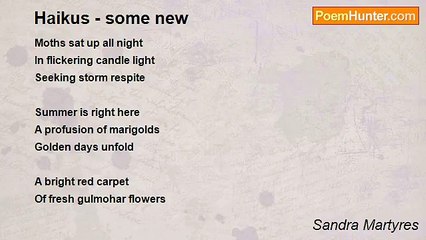 Sandra Martyres - Haikus - some new