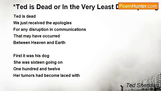 Ted Sheridan - *Ted is Dead or In the Very Least Decomposing