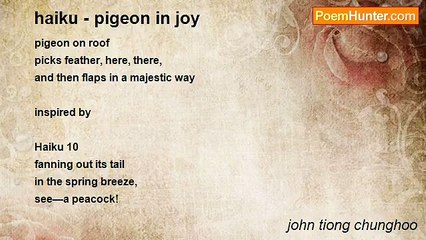 john tiong chunghoo - haiku - pigeon in joy