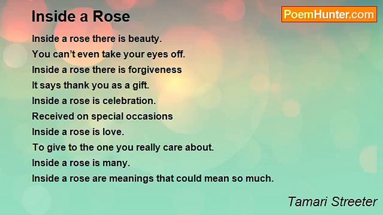 Tamari Streeter - Inside a Rose