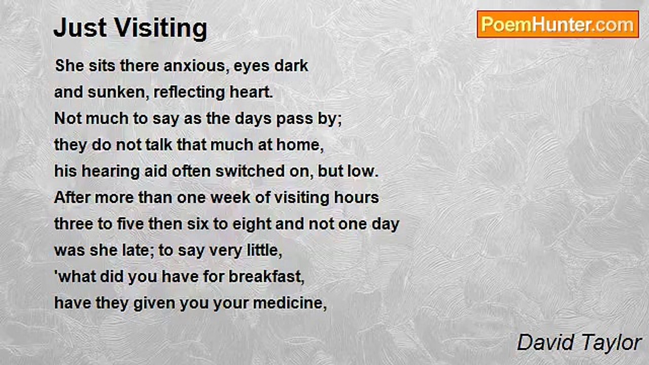 David Taylor - Just Visiting