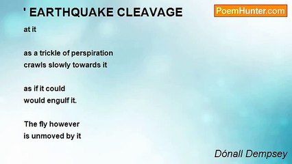 Dónall Dempsey - ' EARTHQUAKE CLEAVAGE