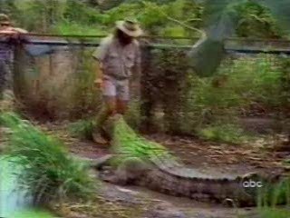 Danse Fatale - I Cant Dance