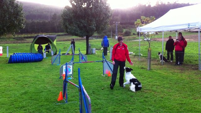 Lucia & Baxter - ESTANDAR Grado 1 - 2ª Manga Prueba Agility RSCE [Sábado 08-11-2014 - Rais - Teo]