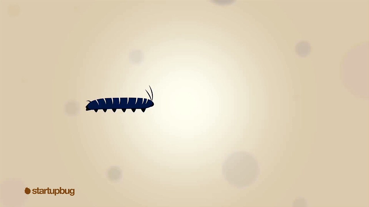 CaterpillarLifeCycle
