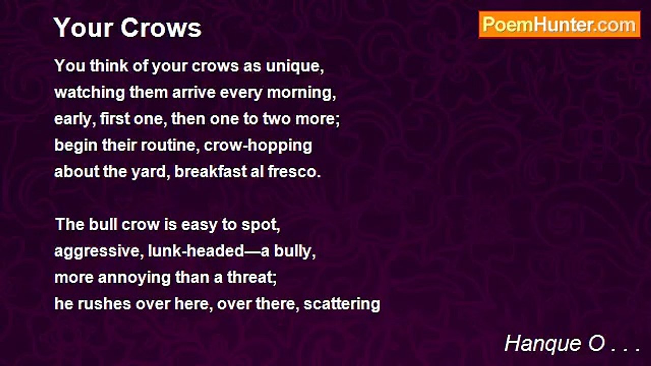 Hanque O . . . - Your Crows