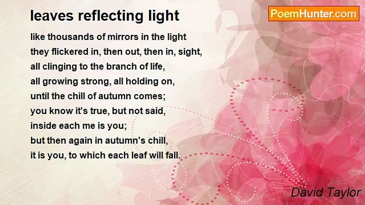 David Taylor - leaves reflecting light