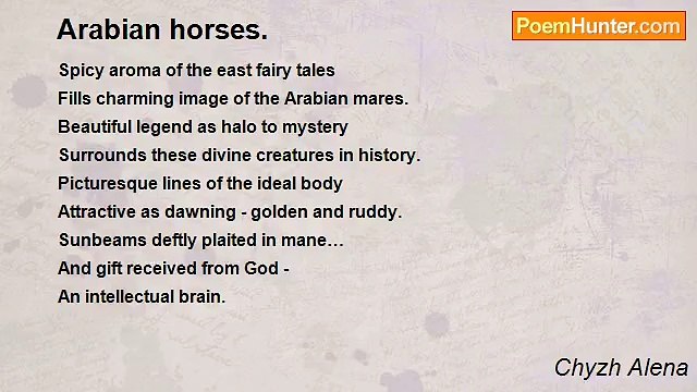 Chyzh Alena - Arabian horses.