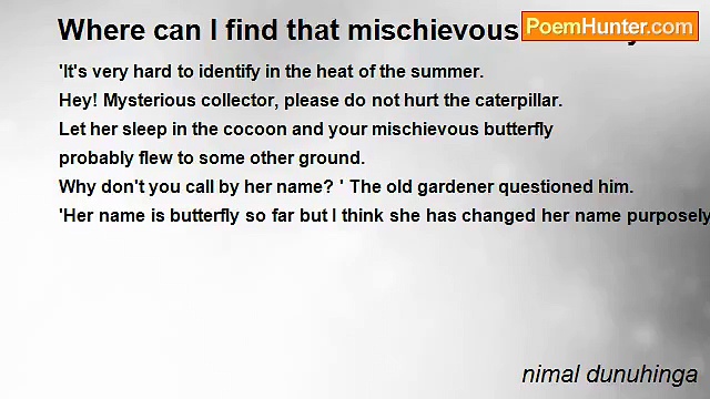 nimal dunuhinga - Where can I find that mischievous butterfly?